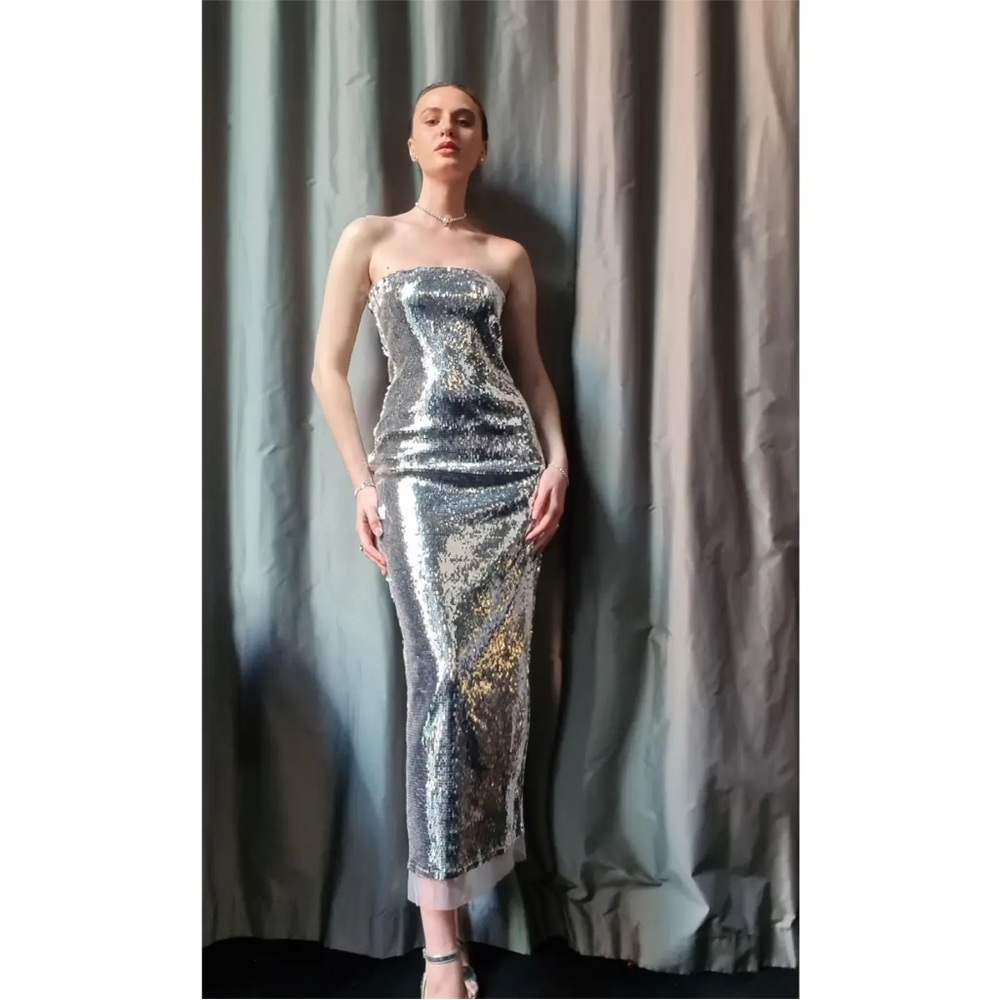 Zara Sequin appliqué Strapless Midi Dress Organza Tulle hem Silver Size XS NWT - Picture 5 of 16